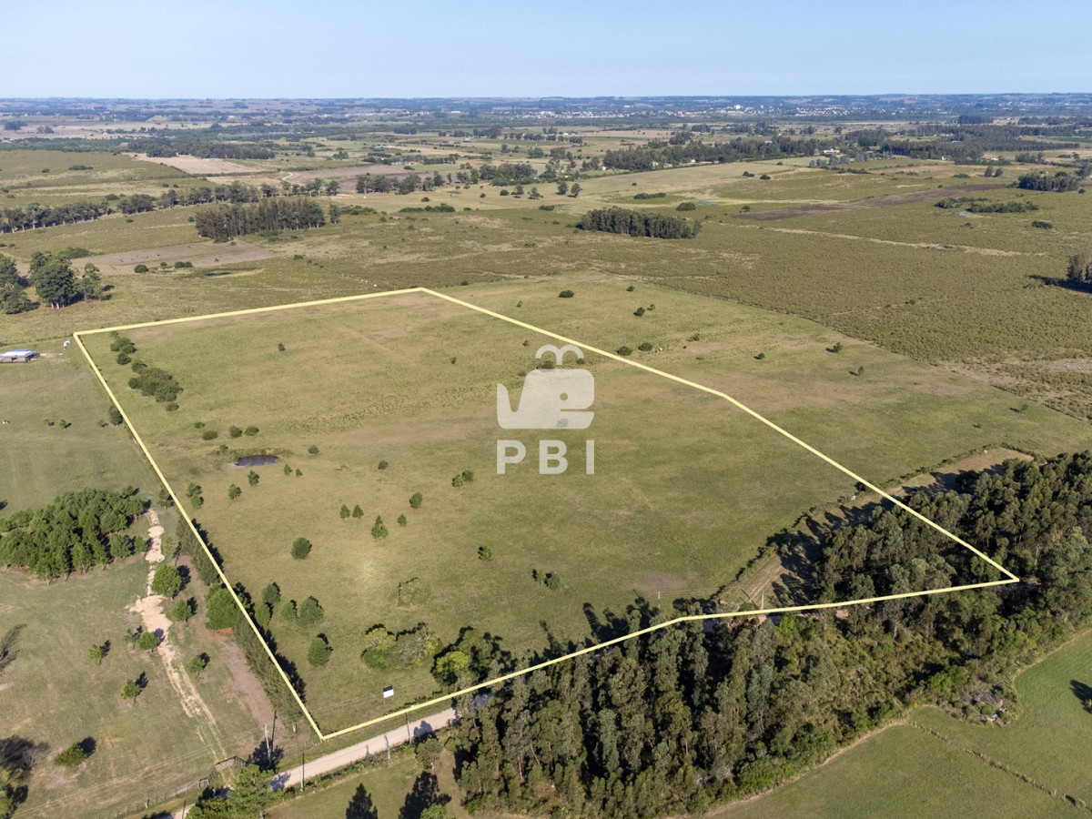 Punta Ballena - GoPunta - Portal Inmobiliario de Punta del Este - Maldonado