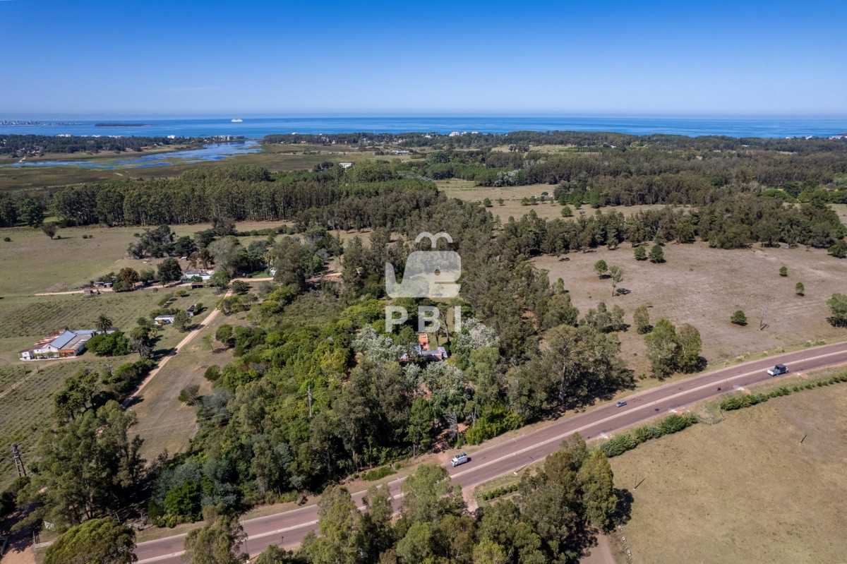 Camino Lussich - GoPunta - Portal Inmobiliario de Punta del Este - Maldonado