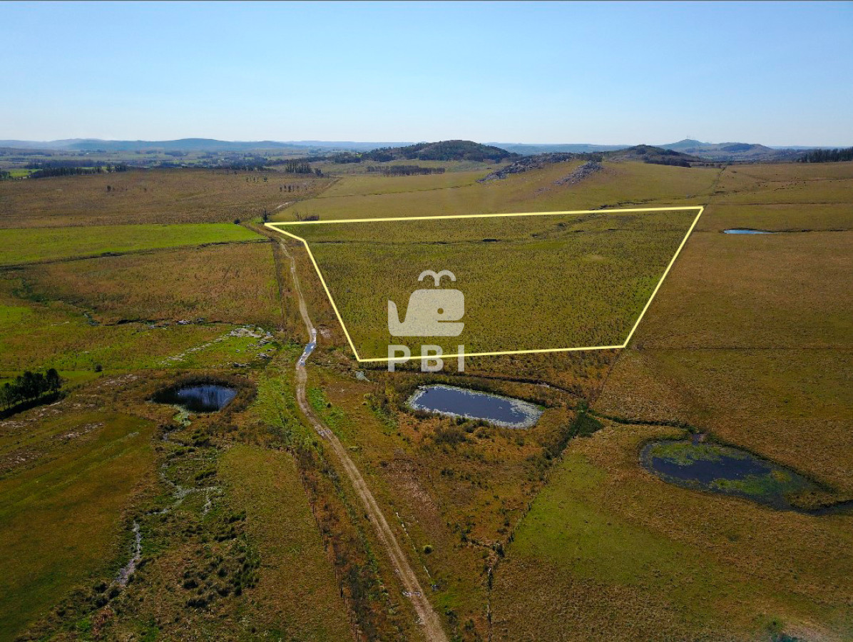 Laguna del Sauce - GoPunta - Portal Inmobiliario de Punta del Este - Maldonado