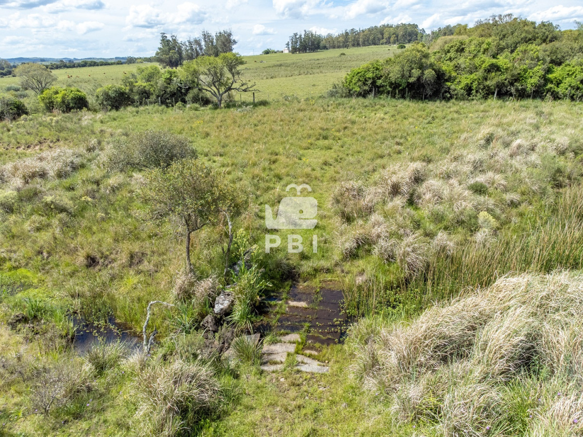 Q2hhY3JhIGRlIDUgSEEgY29uIGNhc2EgZGUgMiBkb3JtaXRvcmlvcyBjZXJjYSBkZSBQdWVibG8gRWRlbiAtIFJlZiA6IFBCSTE1Mzcx