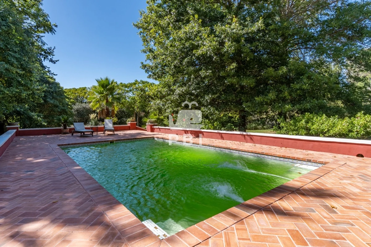 Q2hhY3JhIGVuIENhbWlubyBMdXNzaWNoLCBQdW50YSBCYWxsZW5hIC0gUmVmIDogUEJJMzEwNQ==