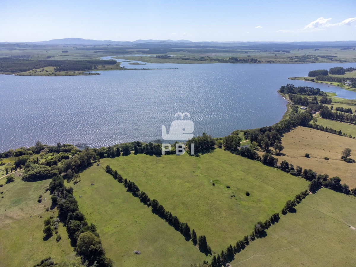 Laguna del Sauce - GoPunta - Portal Inmobiliario de Punta del Este - Maldonado
