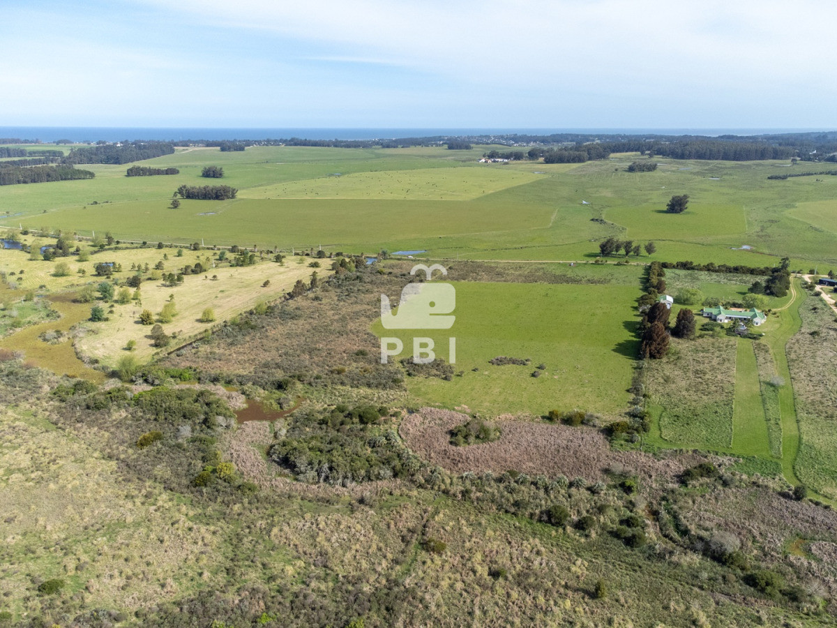 RXhjZWxlbnRlIENIQUNSQVMgIGVuIGJ1ZW5hIFVCSUNBQ0lPTiAgLSBSZWYgOiBQQkkxMzUyNA==