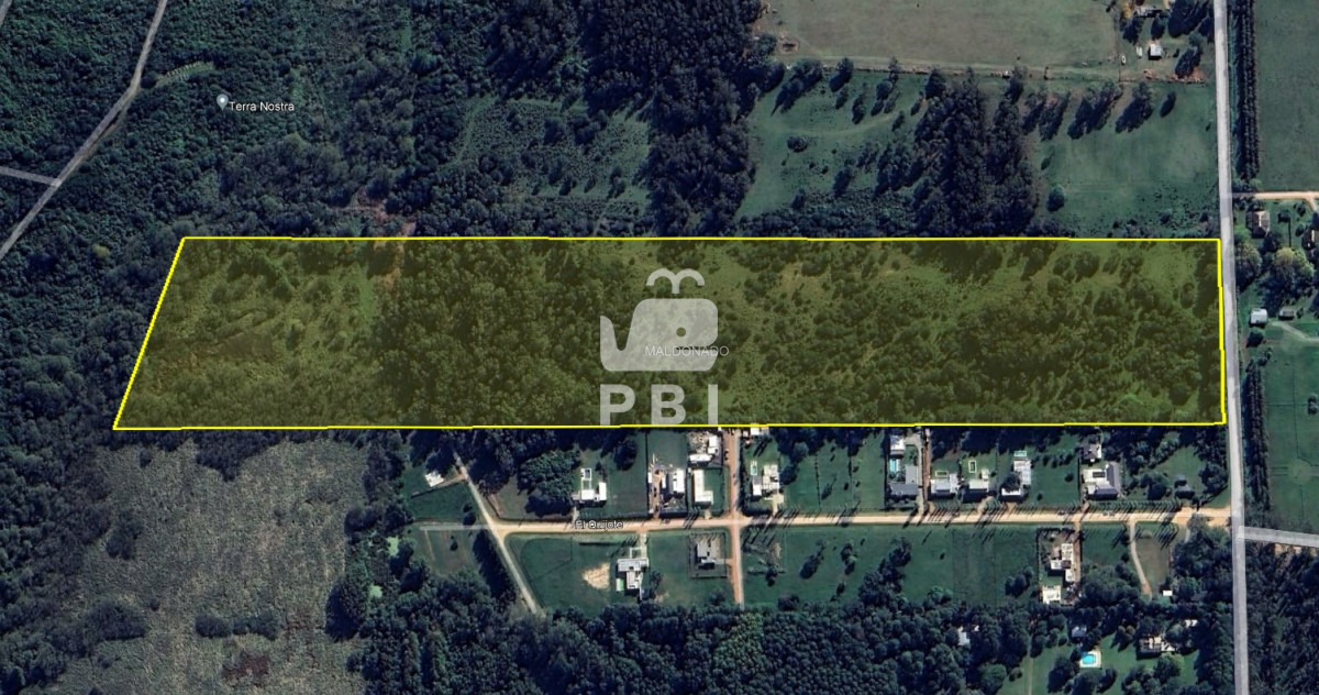 Punta Ballena - GoPunta - Portal Inmobiliario de Punta del Este - Maldonado