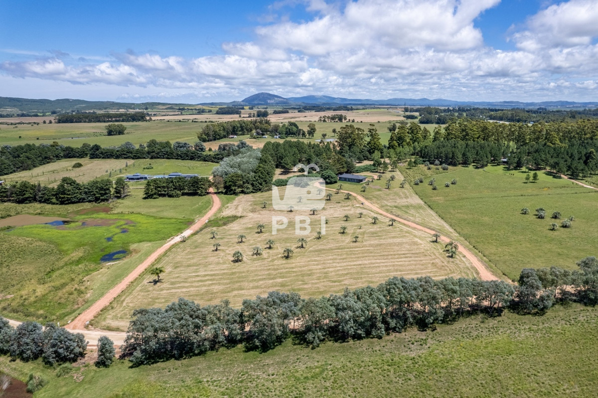 La Carolina - GoPunta - Portal Inmobiliario de Punta del Este - Maldonado