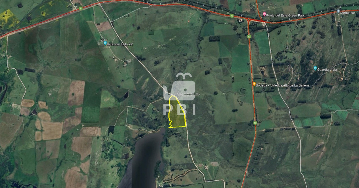 Punta Ballena - GoPunta - Portal Inmobiliario de Punta del Este - Maldonado