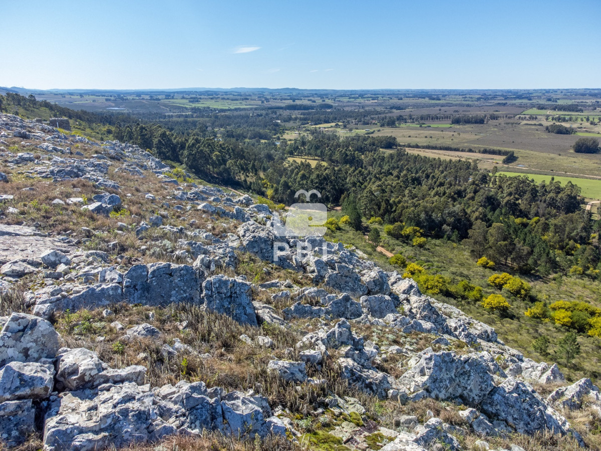 Q2hhY3JhIGRlIDksODUgSGFzIGVuIExhcyBWZXJ0aWVudGVzIC0gUmVmIDogUEJJMTUxNTE=