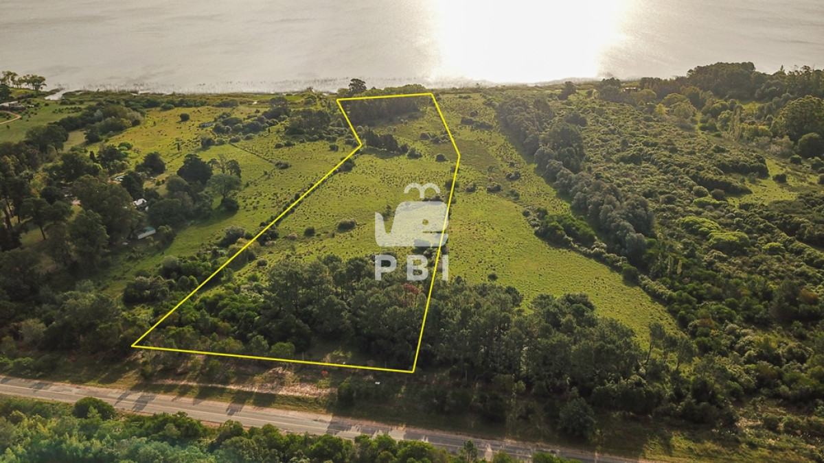 Laguna del Sauce - GoPunta - Portal Inmobiliario de Punta del Este - Maldonado