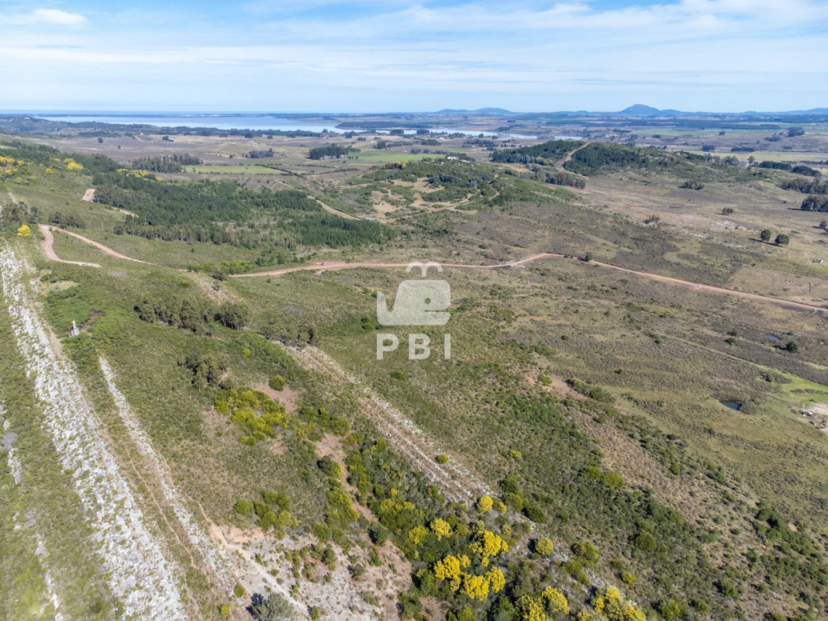 Abra de Perdomo - GoPunta - Portal Inmobiliario de Punta del Este - Maldonado