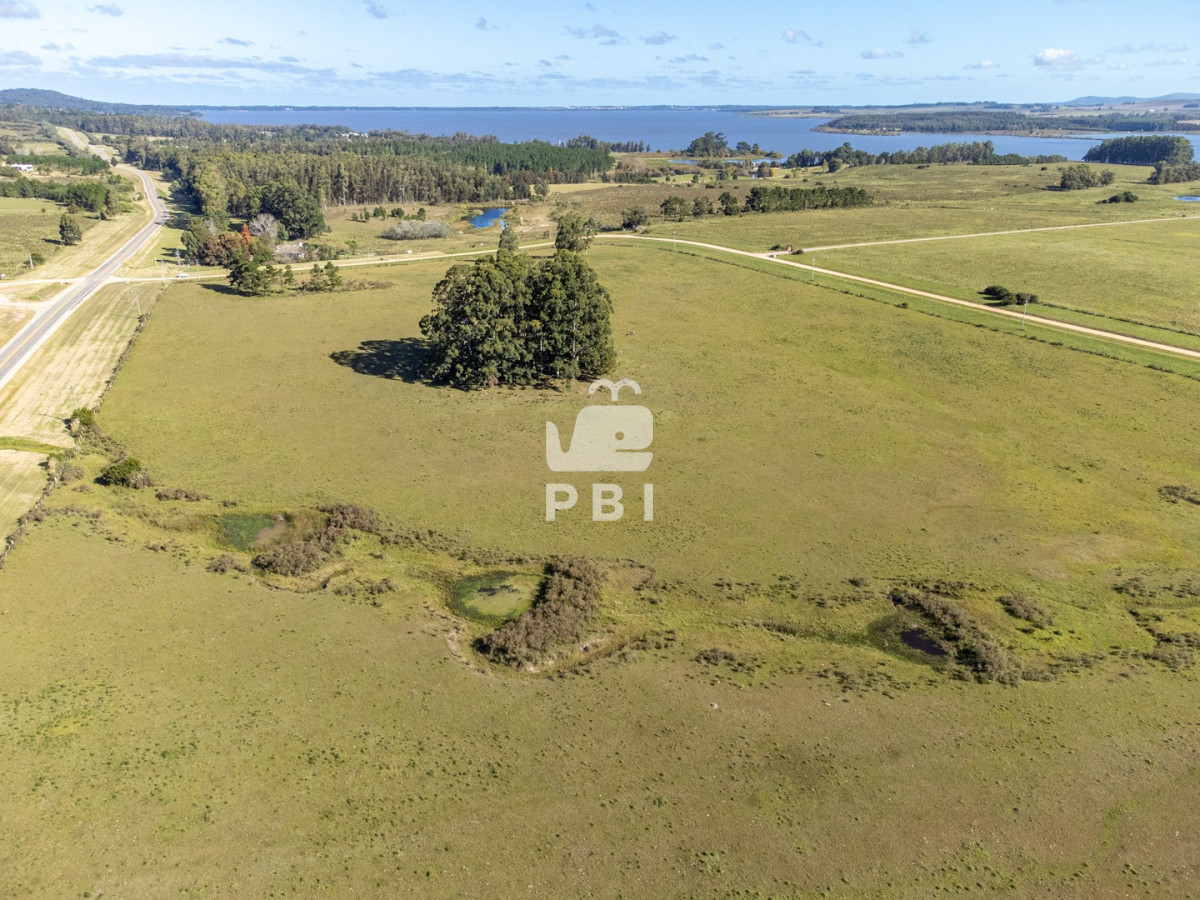 Laguna del Sauce - GoPunta - Portal Inmobiliario de Punta del Este - Maldonado