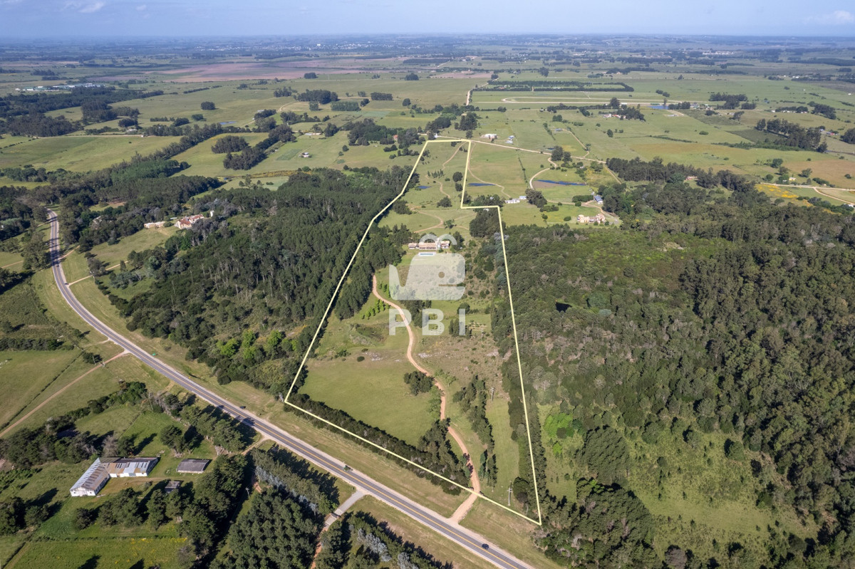 Laguna del Sauce - GoPunta - Portal Inmobiliario de Punta del Este - Maldonado