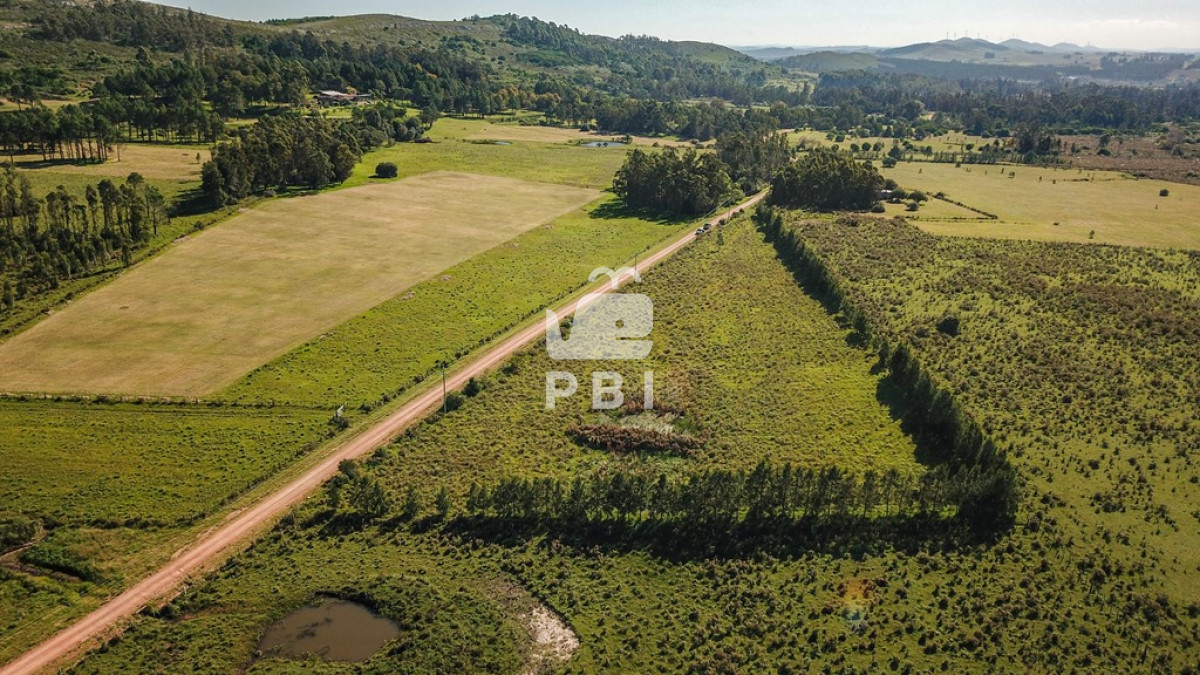 Abra de Perdomo - GoPunta - Portal Inmobiliario de Punta del Este - Maldonado