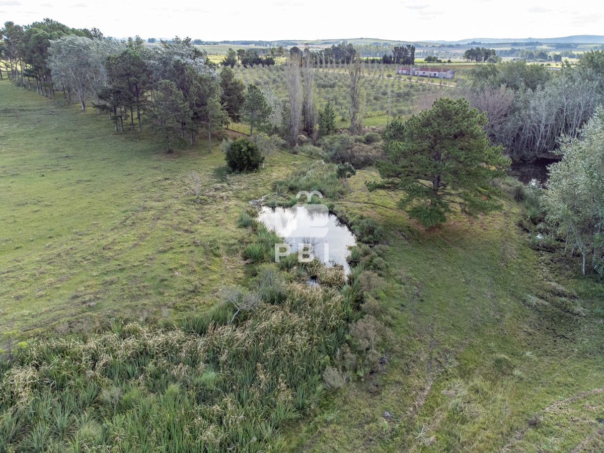 Laguna del Sauce - GoPunta - Portal Inmobiliario de Punta del Este - Maldonado