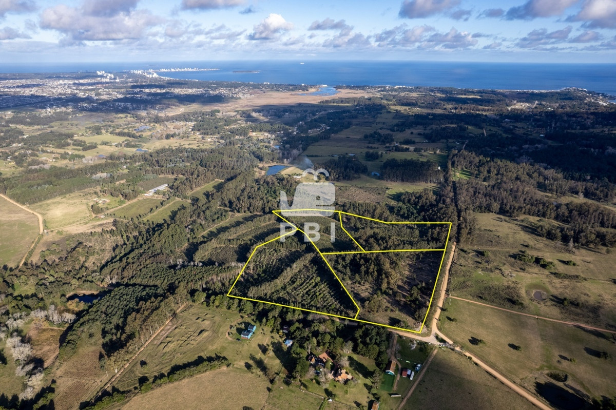La Pataia - GoPunta - Portal Inmobiliario de Punta del Este - Maldonado
