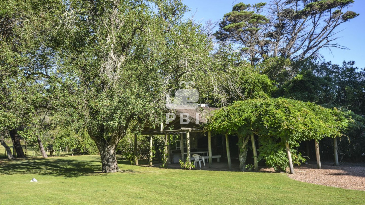 Q2hhY3JhIGVuIHZlbnRhIGVuIENhbWlubyBMdXNzaWNoLCBQdW50YSBCYWxsZW5hIC0gUmVmIDogUEJJMTU0NDk=