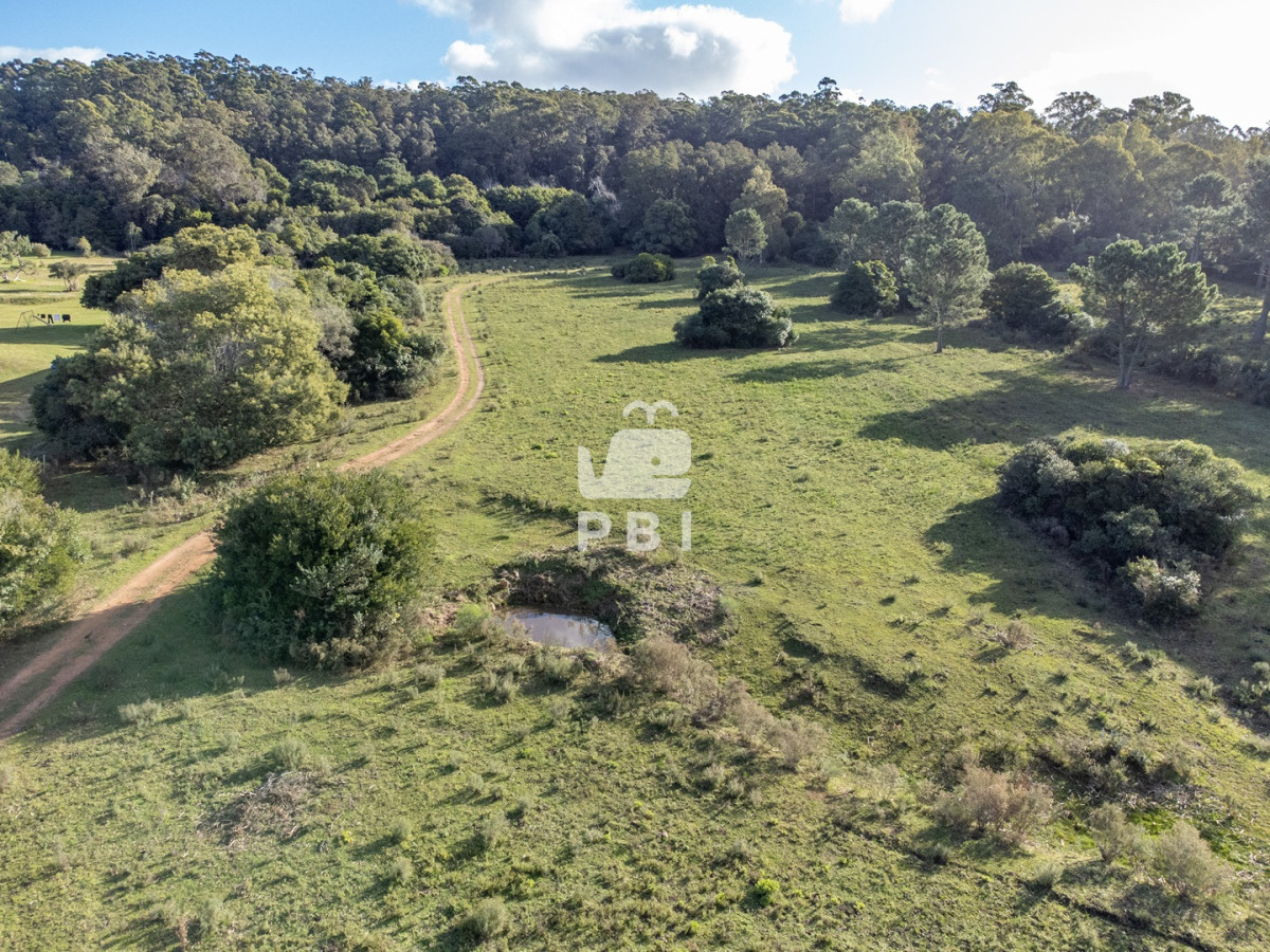 Laguna del Sauce - GoPunta - Portal Inmobiliario de Punta del Este - Maldonado