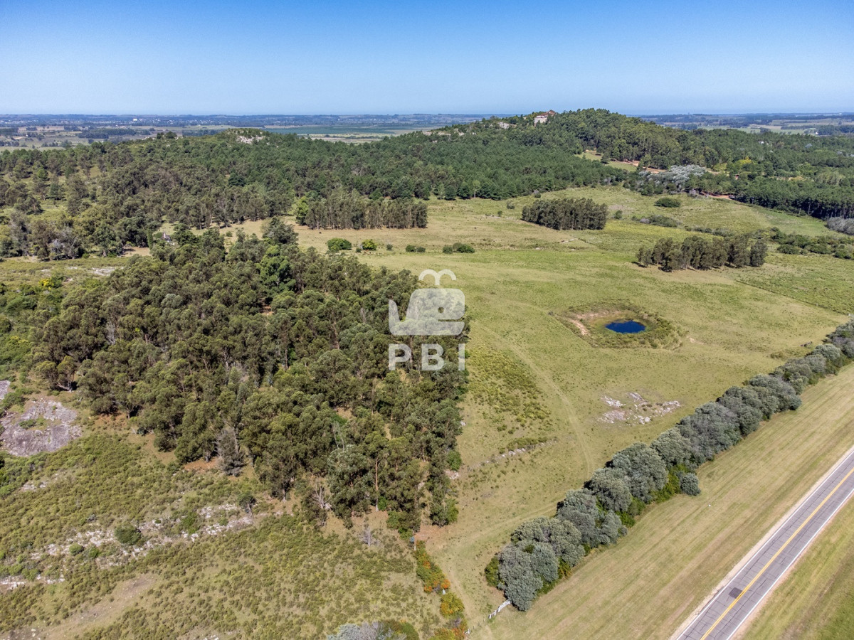 Laguna del Sauce - GoPunta - Portal Inmobiliario de Punta del Este - Maldonado