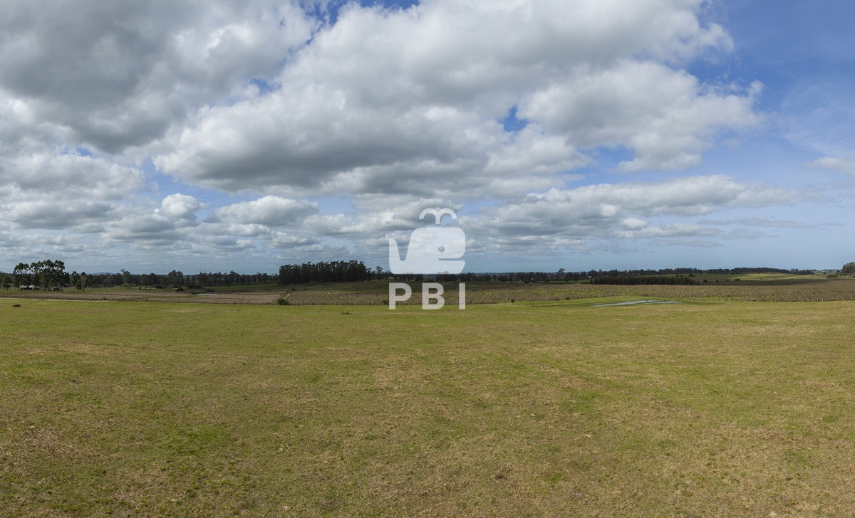Punta Ballena - GoPunta - Portal Inmobiliario de Punta del Este - Maldonado