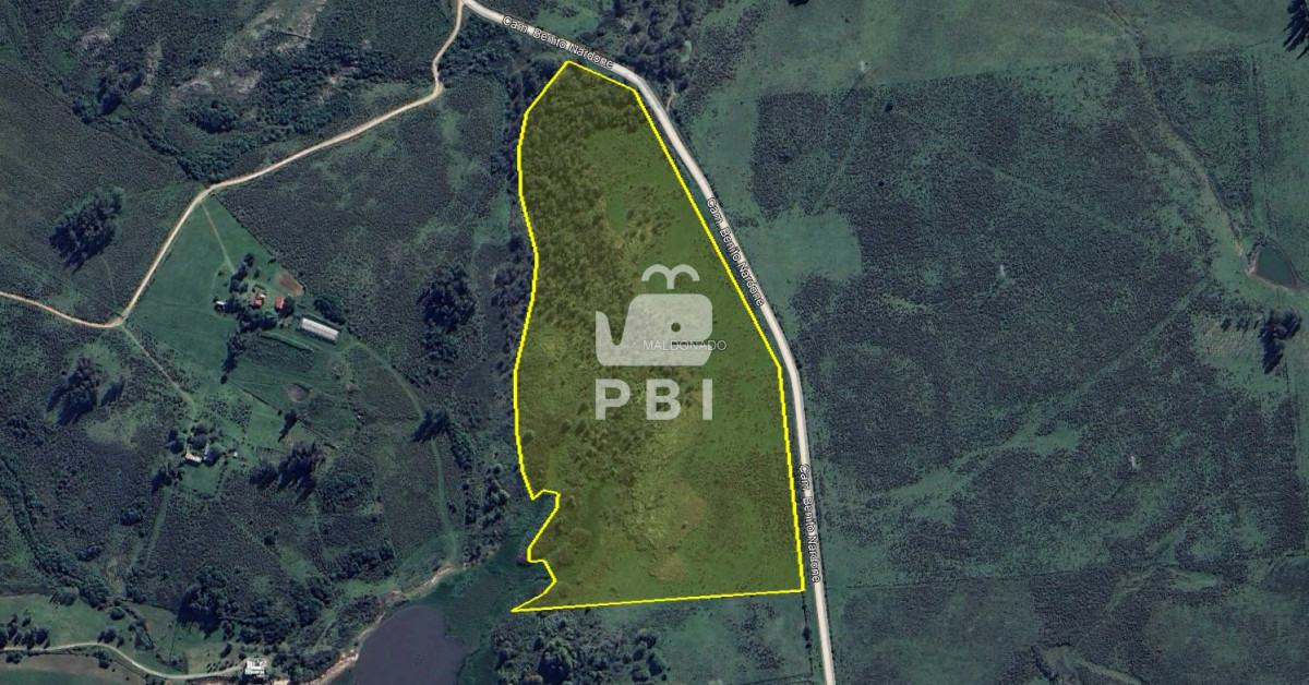 Punta Ballena - GoPunta - Portal Inmobiliario de Punta del Este - Maldonado