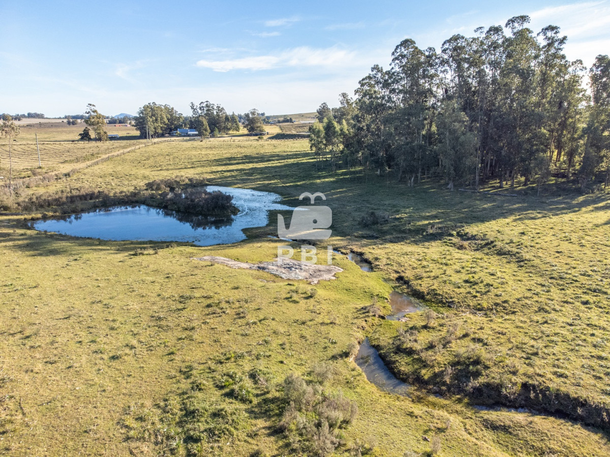 Q2hhY3JhIGRlIDUgSGFzIGVuIEd1YXJkaWEgVmllamEsIFJ1dGEgMTIgLSBSZWYgOiBQQkkxNTA1MA==