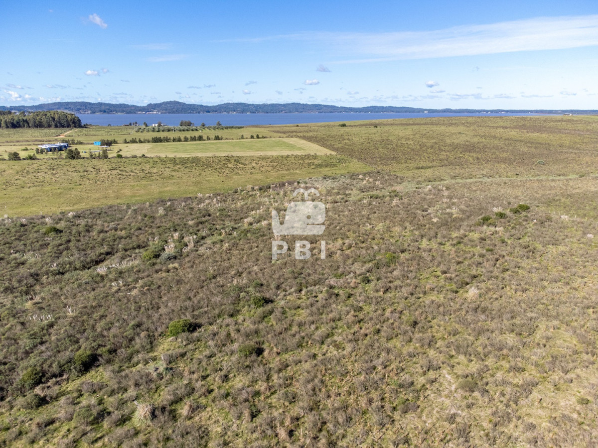 Laguna del Sauce - GoPunta - Portal Inmobiliario de Punta del Este - Maldonado