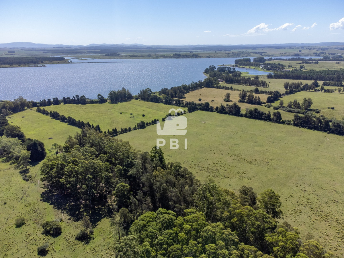 Laguna del Sauce - GoPunta - Portal Inmobiliario de Punta del Este - Maldonado
