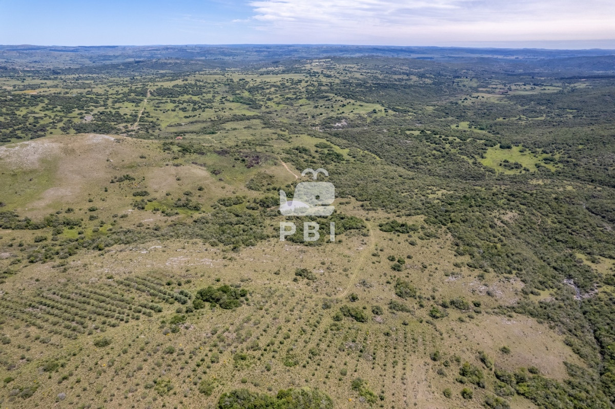 Aiguá - GoPunta - Portal Inmobiliario de Punta del Este - Maldonado