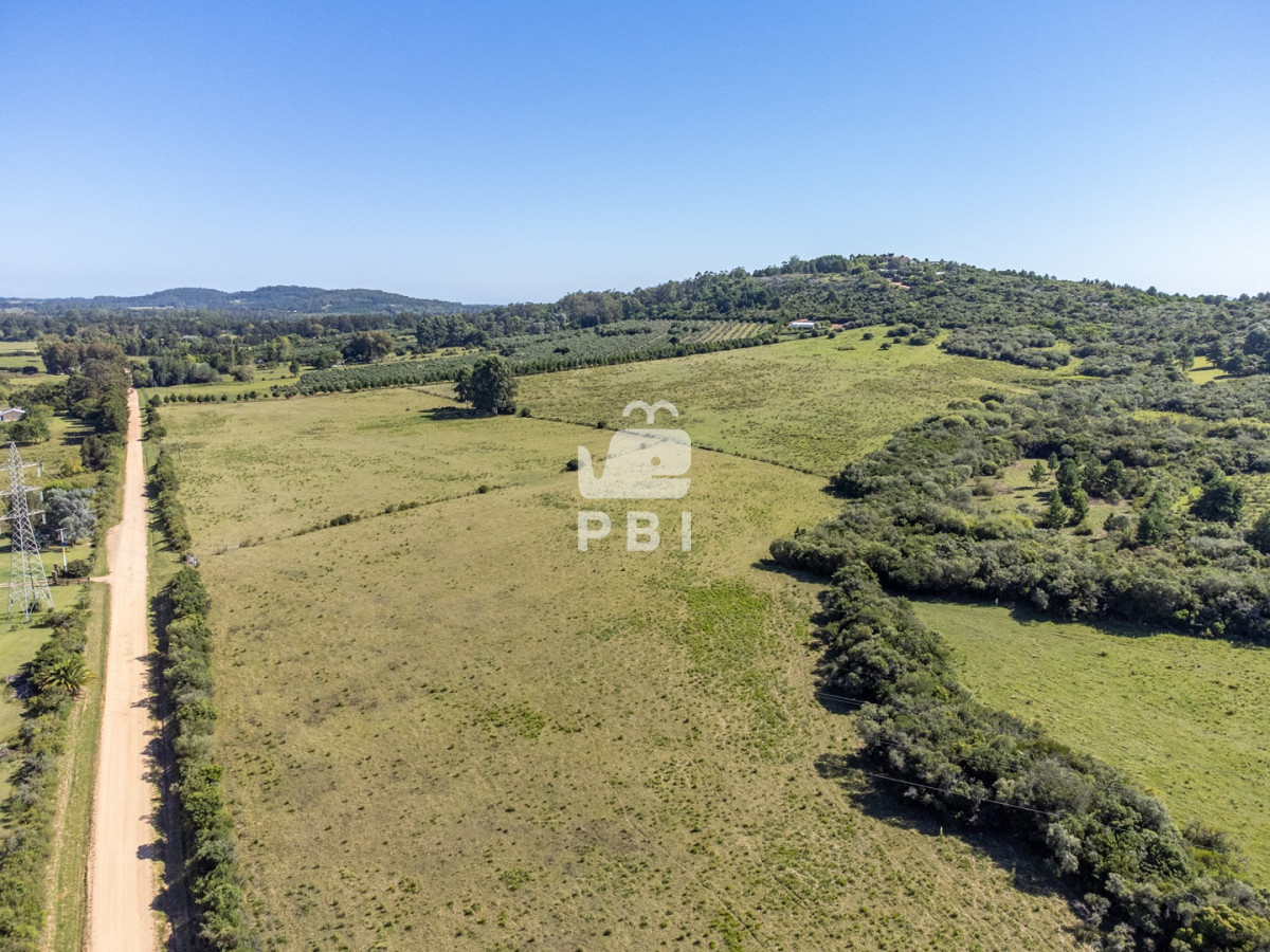 La Pataia - GoPunta - Portal Inmobiliario de Punta del Este - Maldonado