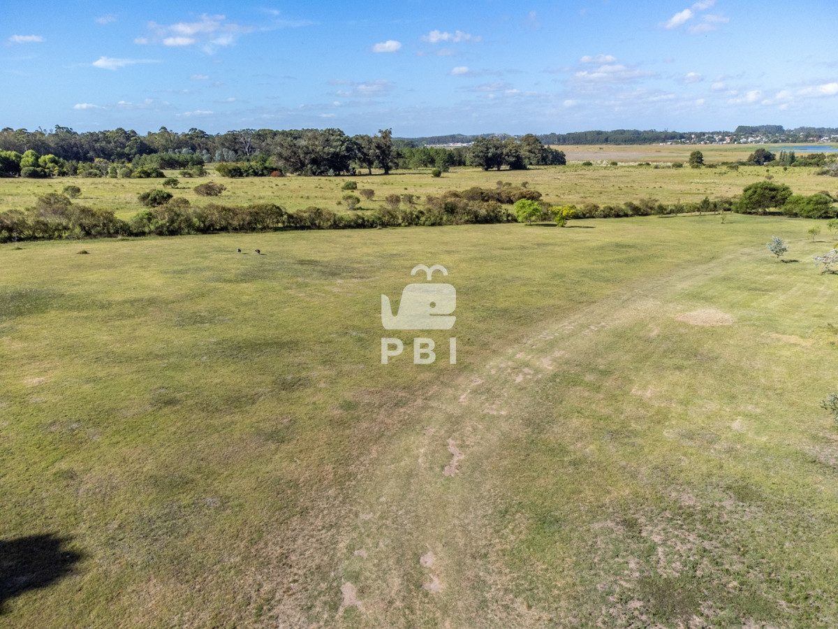 VGVycmVubyBlbiB2ZW50YSBlbiBQdW50YSBCYWxsZW5hIC0gUmVmIDogUEJJMTU1NTQ=