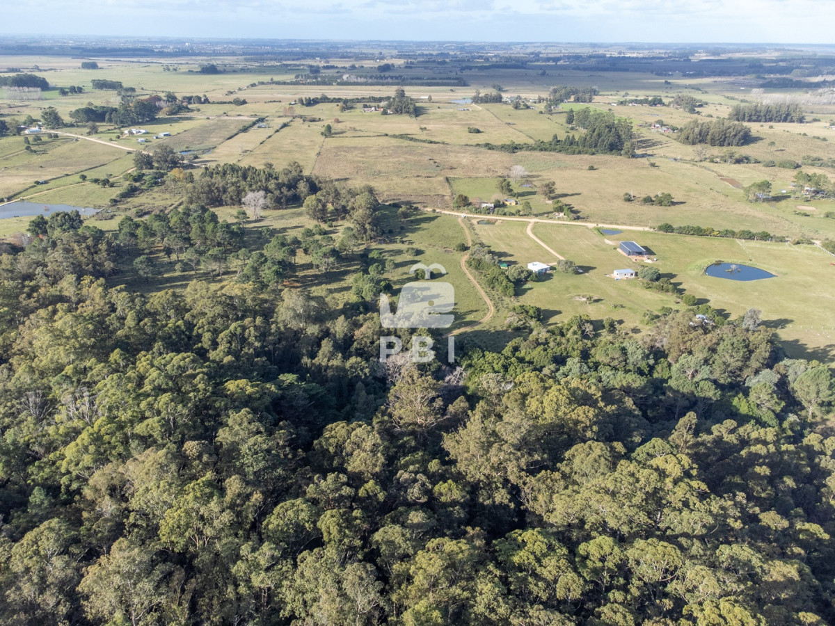 Laguna del Sauce - GoPunta - Portal Inmobiliario de Punta del Este - Maldonado