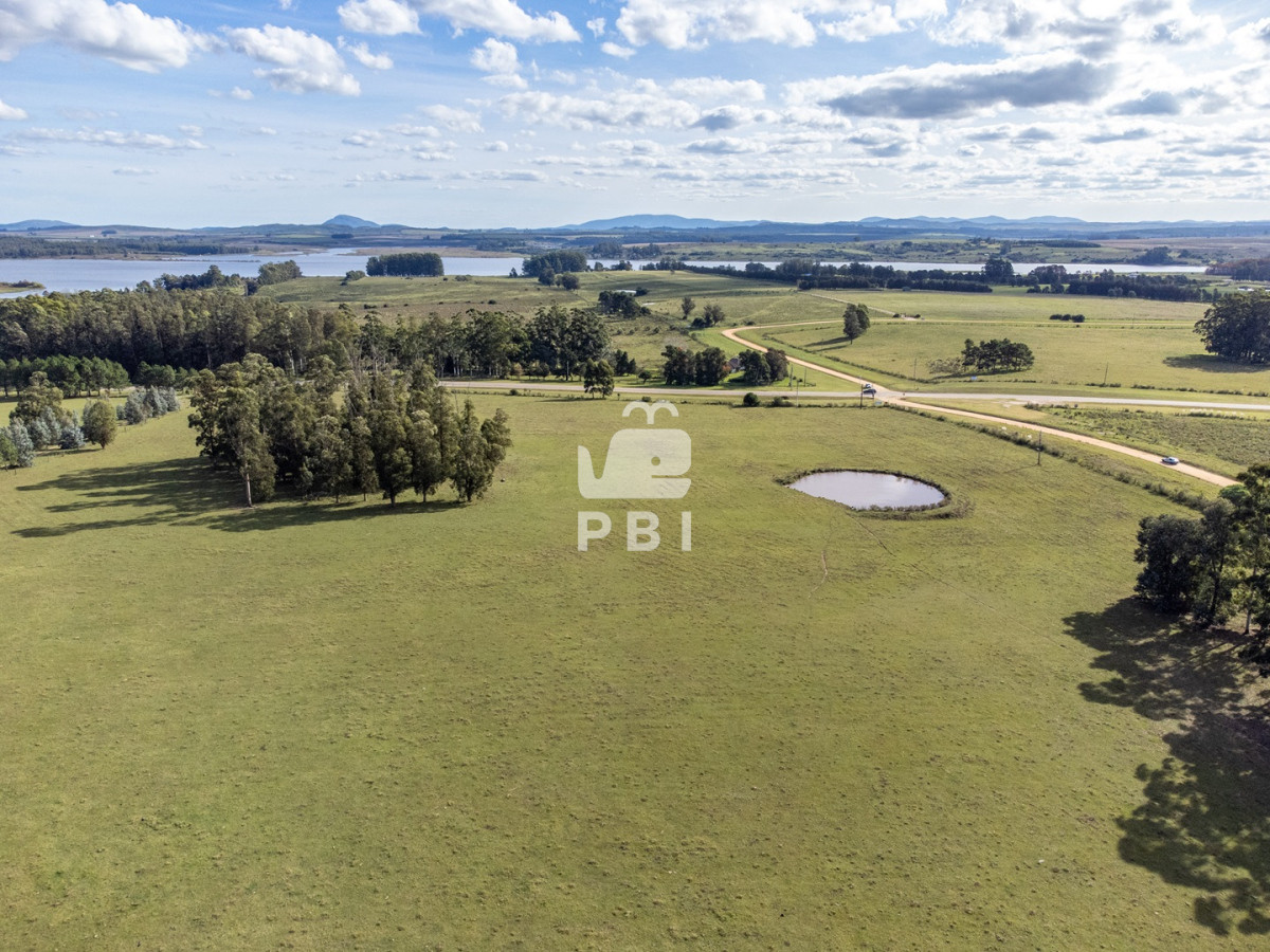 Laguna del Sauce - GoPunta - Portal Inmobiliario de Punta del Este - Maldonado