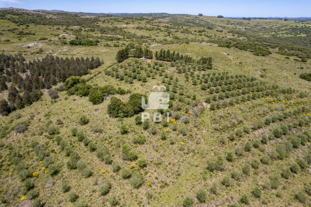 Aiguá - GoPunta - Portal Inmobiliario de Punta del Este - Maldonado