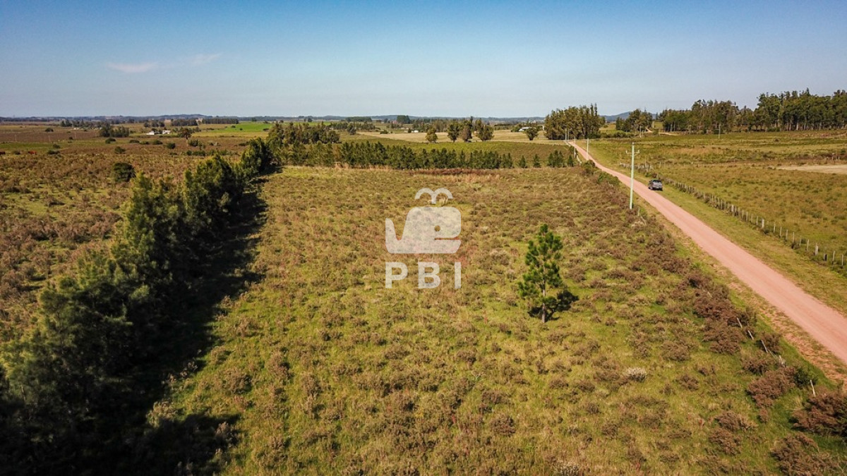 Abra de Perdomo - GoPunta - Portal Inmobiliario de Punta del Este - Maldonado