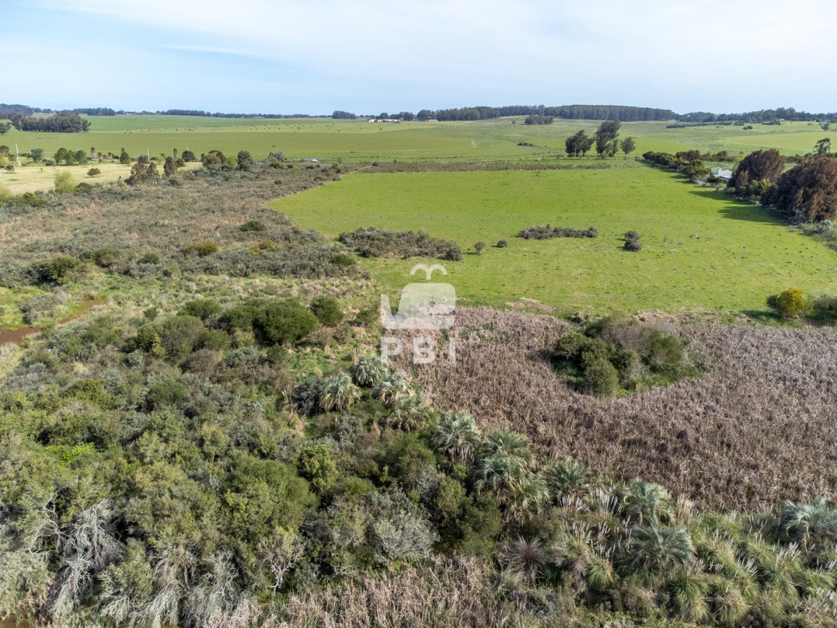 RXhjZWxlbnRlIENIQUNSQVMgIGVuIGJ1ZW5hIFVCSUNBQ0lPTiAgLSBSZWYgOiBQQkkxMzUyNA==