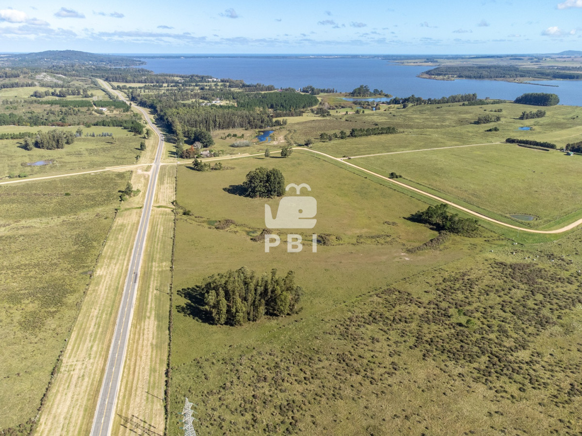 Laguna del Sauce - GoPunta - Portal Inmobiliario de Punta del Este - Maldonado