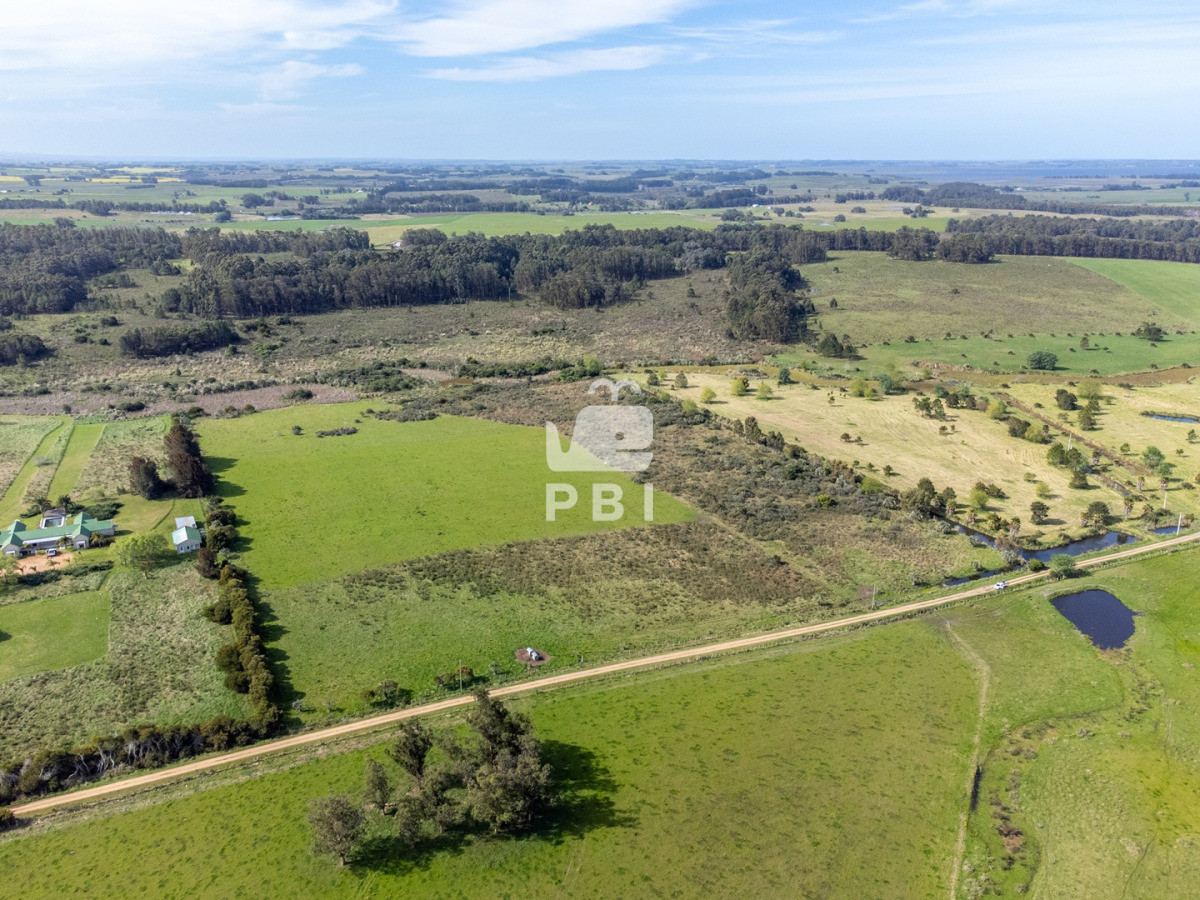 RXhjZWxlbnRlIENIQUNSQVMgIGVuIGJ1ZW5hIFVCSUNBQ0lPTiAgLSBSZWYgOiBQQkkxMzUyNA==