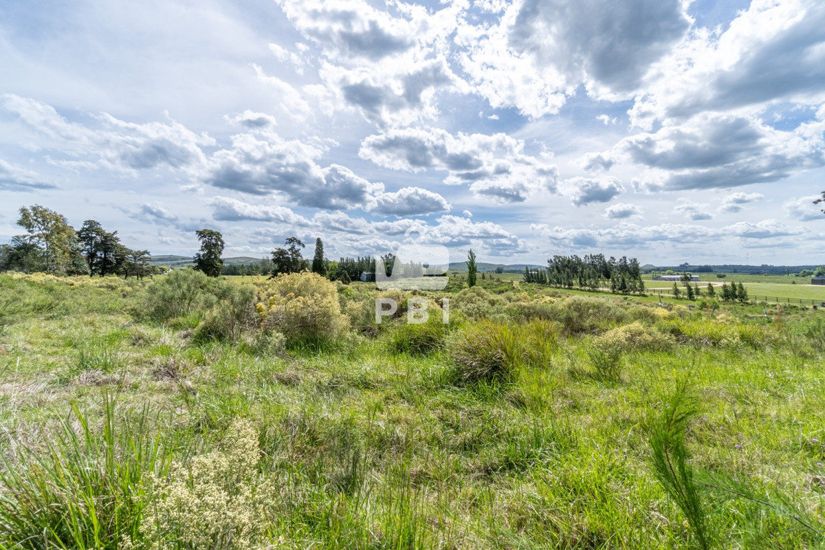 Q2hhY3JhIGRlIDUgSEEgY29uIGNhc2EgZGUgMiBkb3JtaXRvcmlvcyBjZXJjYSBkZSBQdWVibG8gRWRlbiAtIFJlZiA6IFBCSTE1Mzcx