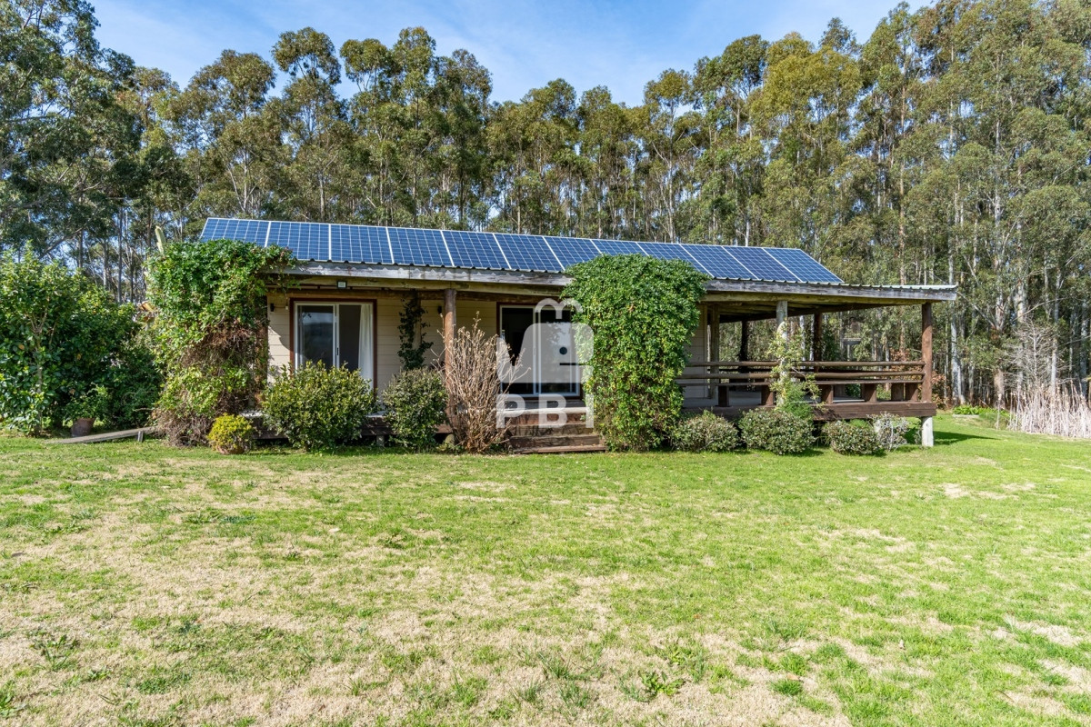 La Pataia - GoPunta - Portal Inmobiliario de Punta del Este - Maldonado