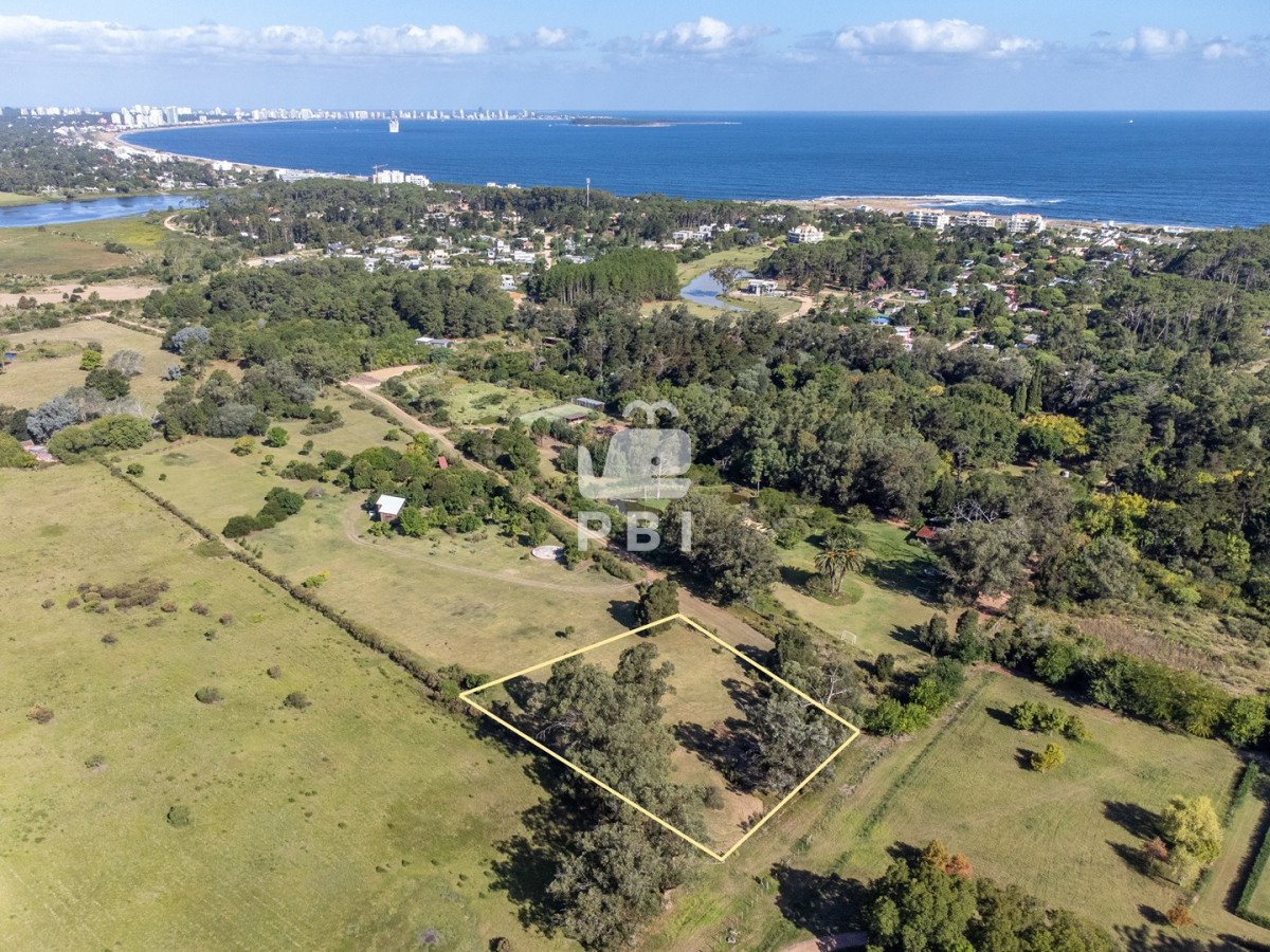 VGVycmVubyBlbiB2ZW50YSBlbiBQdW50YSBCYWxsZW5hIC0gUmVmIDogUEJJMTU1NTM=