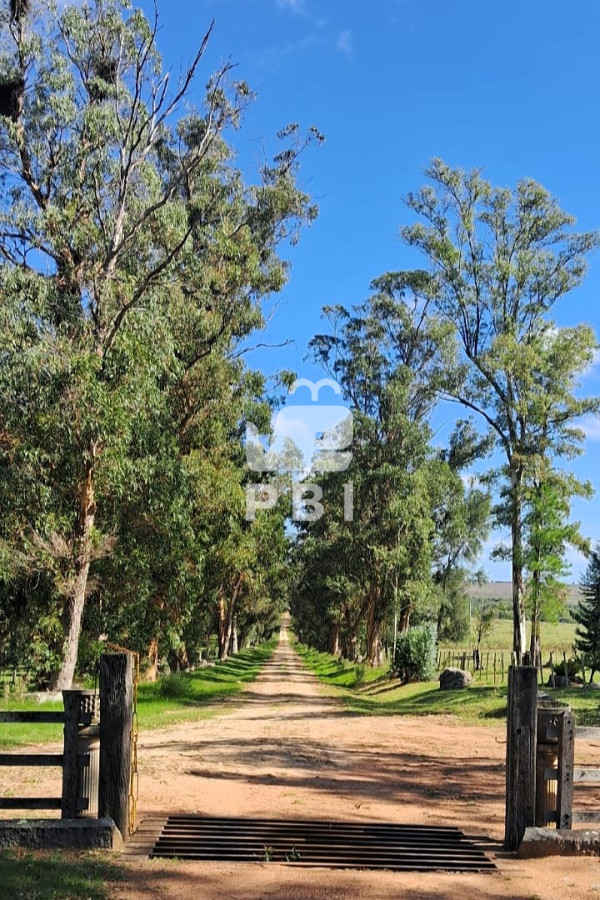 Pueblo Eden - GoPunta - Portal Inmobiliario de Punta del Este - Maldonado
