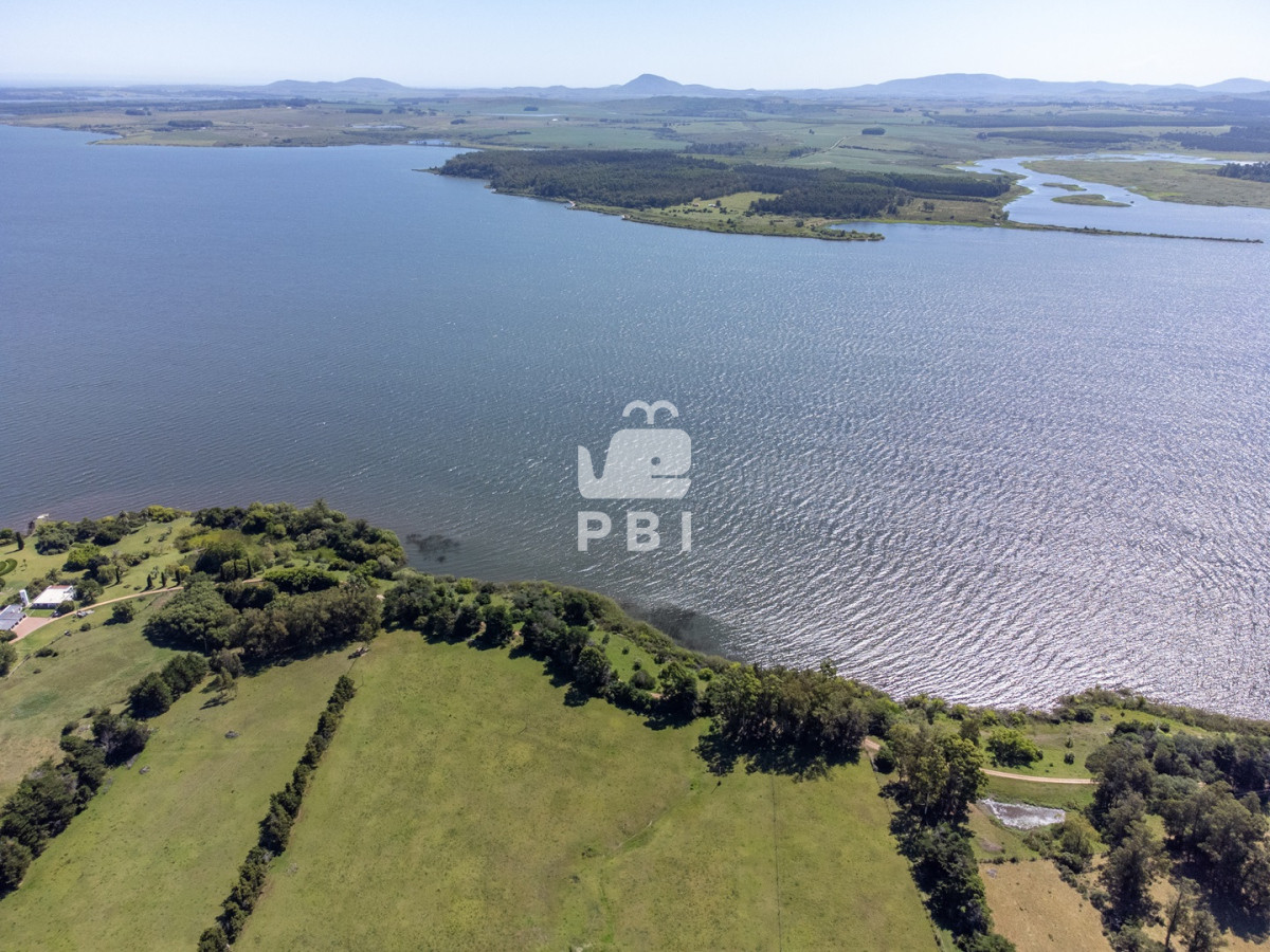 Laguna del Sauce - GoPunta - Portal Inmobiliario de Punta del Este - Maldonado