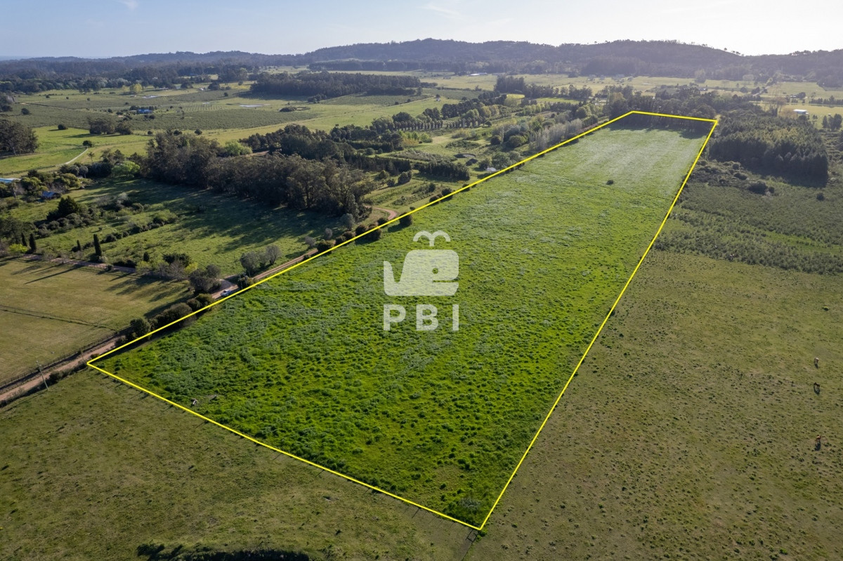 La Pataia - GoPunta - Portal Inmobiliario de Punta del Este - Maldonado