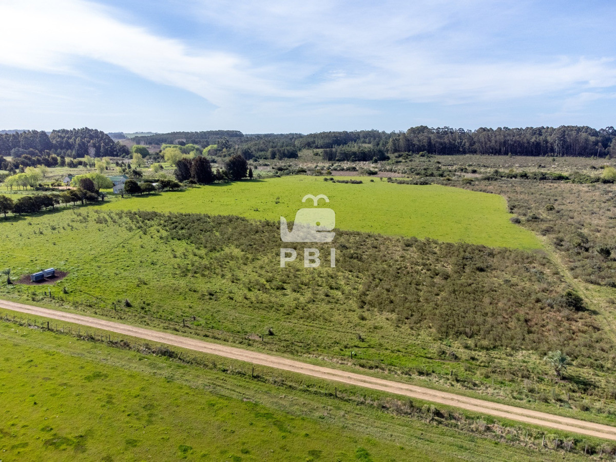 RXhjZWxlbnRlIENIQUNSQVMgIGVuIGJ1ZW5hIFVCSUNBQ0lPTiAgLSBSZWYgOiBQQkkxMzUyNA==