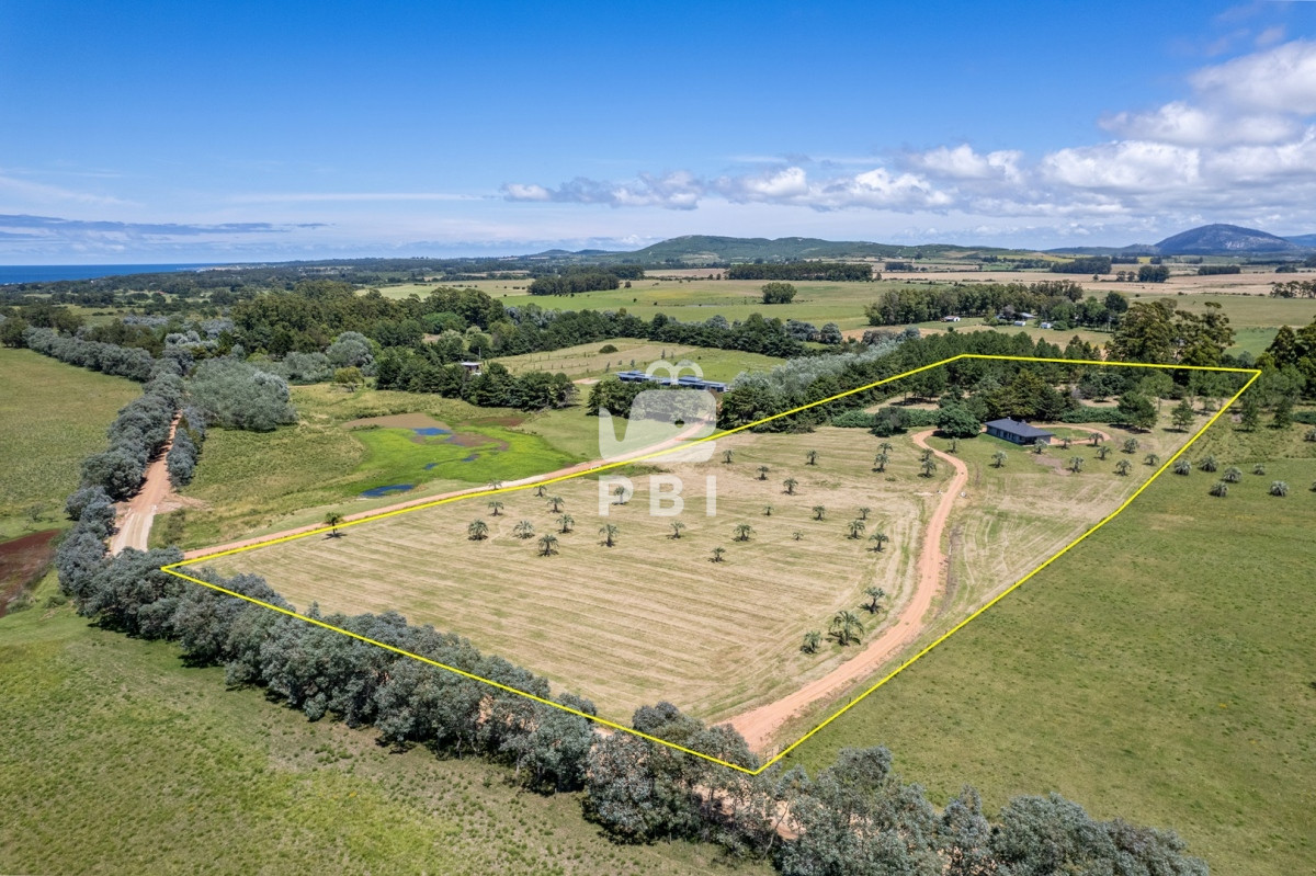 La Carolina - GoPunta - Portal Inmobiliario de Punta del Este - Maldonado