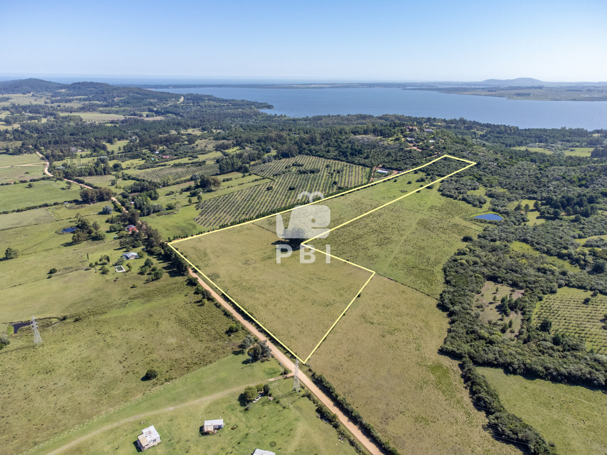La Pataia - GoPunta - Portal Inmobiliario de Punta del Este - Maldonado