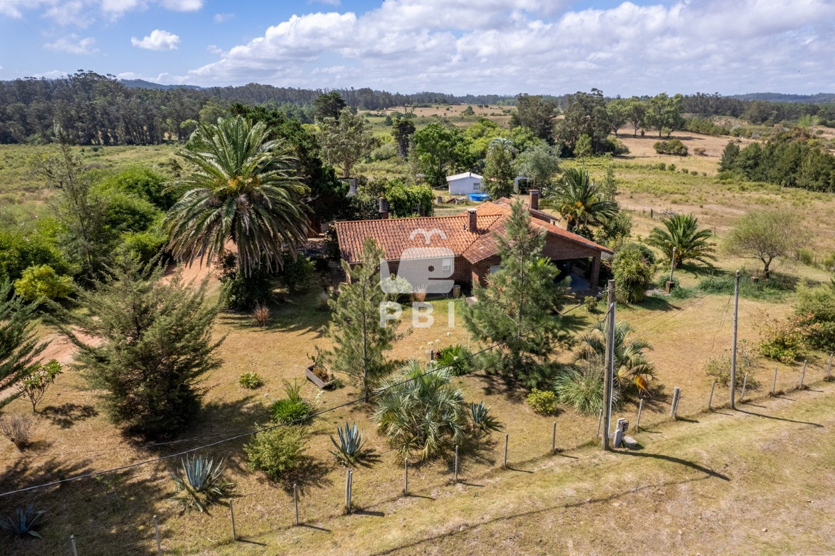 Camino Lussich - GoPunta - Portal Inmobiliario de Punta del Este - Maldonado