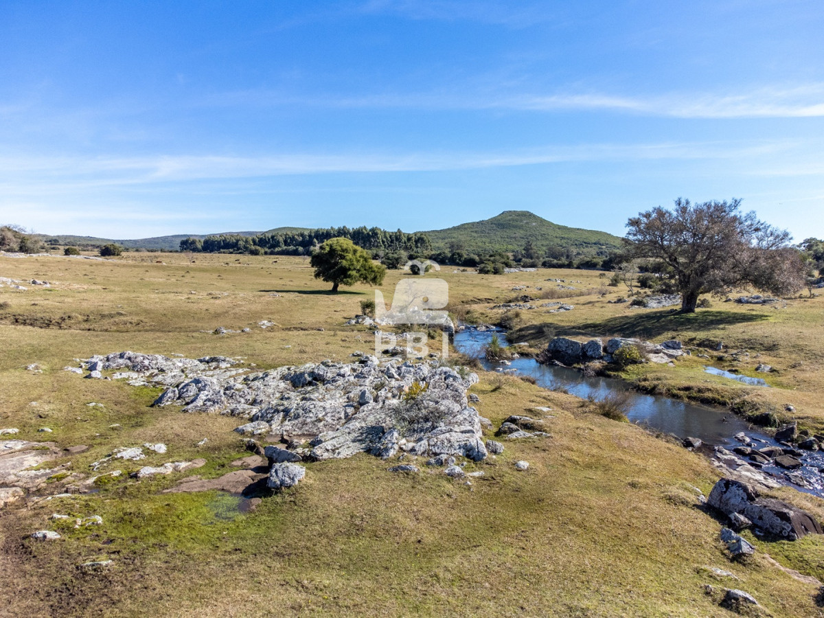 Q2hhY3JhIGVuIFB1ZWJsbyBFZMOpbiAtIFJlZiA6IFBCSTE1MDk0