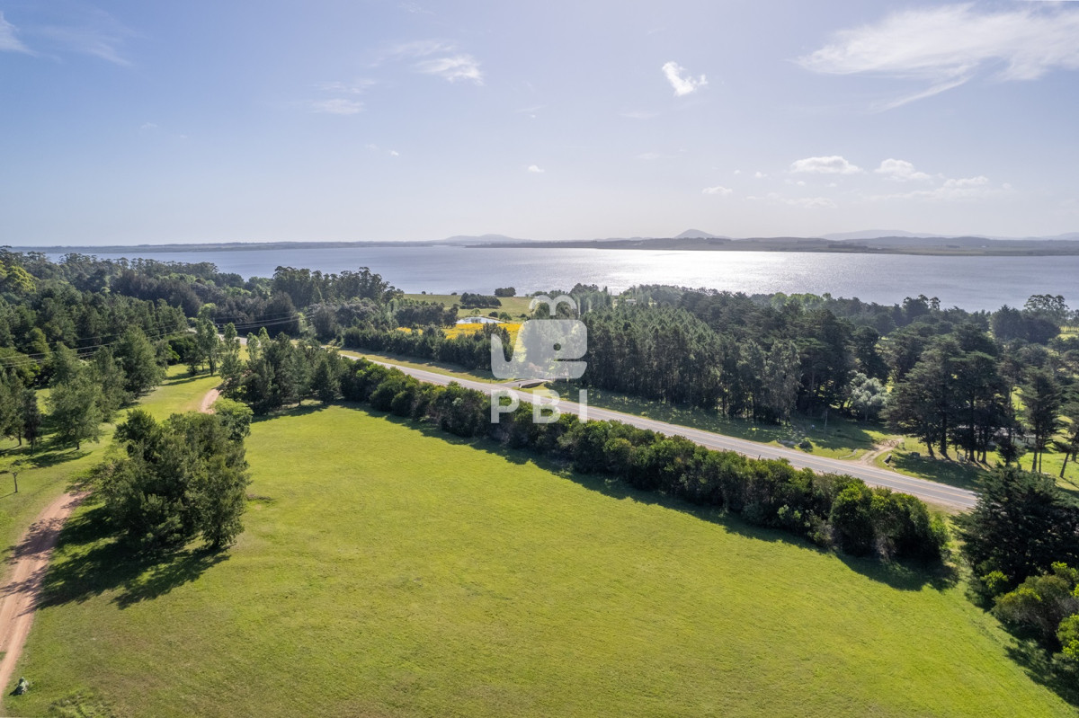 Laguna del Sauce - GoPunta - Portal Inmobiliario de Punta del Este - Maldonado