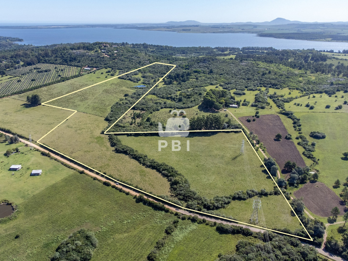 La Pataia - GoPunta - Portal Inmobiliario de Punta del Este - Maldonado