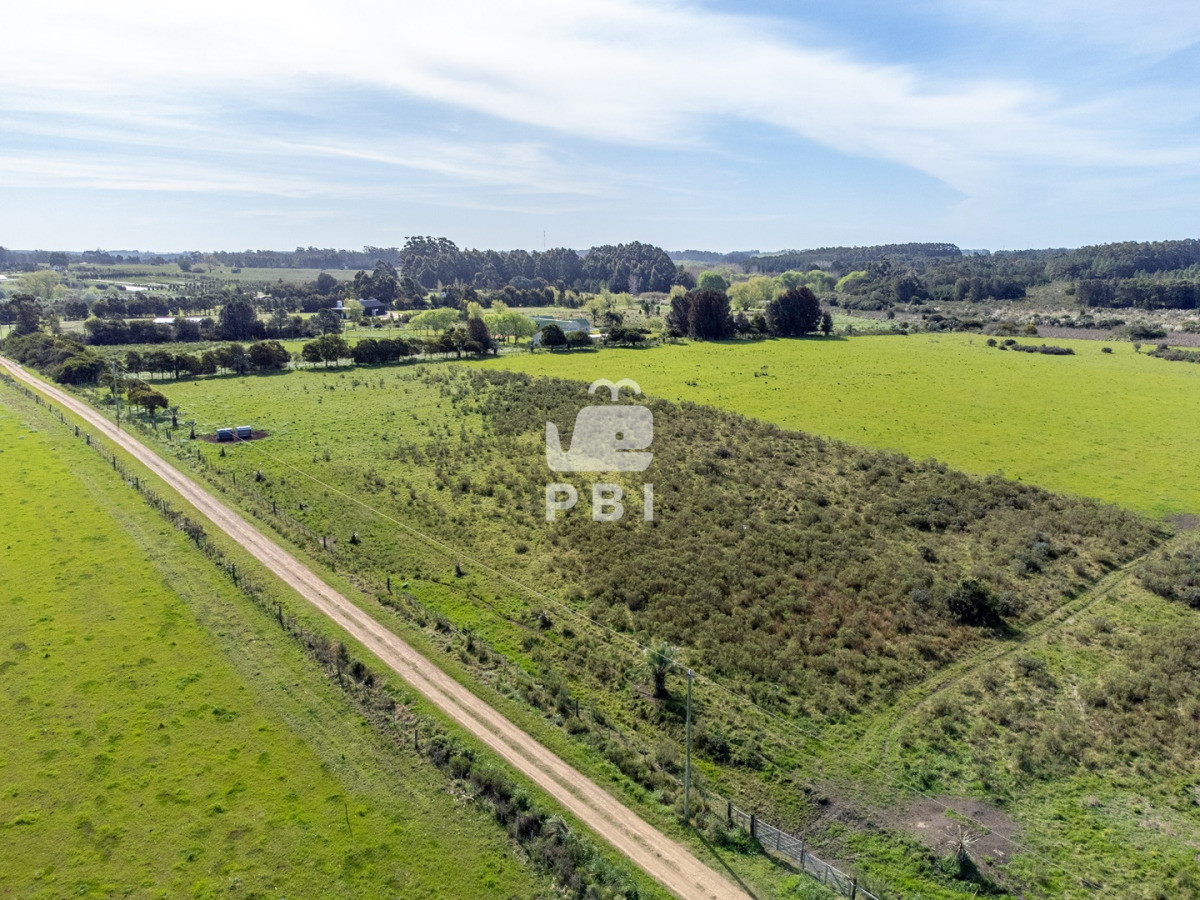 RXhjZWxlbnRlIENIQUNSQVMgIGVuIGJ1ZW5hIFVCSUNBQ0lPTiAgLSBSZWYgOiBQQkkxMzUyNA==